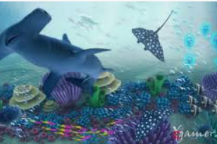 333体育电脑免费版